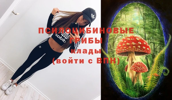первитин Арсеньев